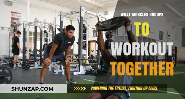 Effective Muscle Group Pairings for Optimal Workout Efficiency and Results