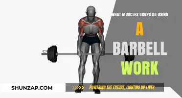 Barbell Training: Targeted Muscle Groups for Strength and Power