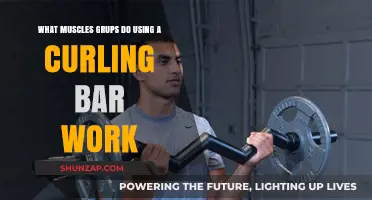 Curling Bar Workout: Targeted Muscle Groups and Benefits Explained