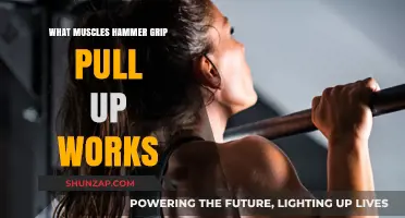 Hammer Grip Pull-Ups: Targeted Muscles and Strength Benefits Explained