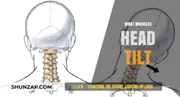Head Tilts: Which Muscles Are Involved?