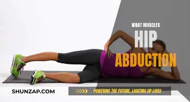 Hip Abduction: Which Muscles Are Involved and Why