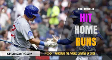How to Hit Home Runs: Muscles and Mechanics