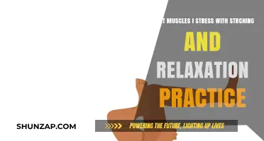 Stretching and Relaxation: Key Muscles Targeted for Stress Relief