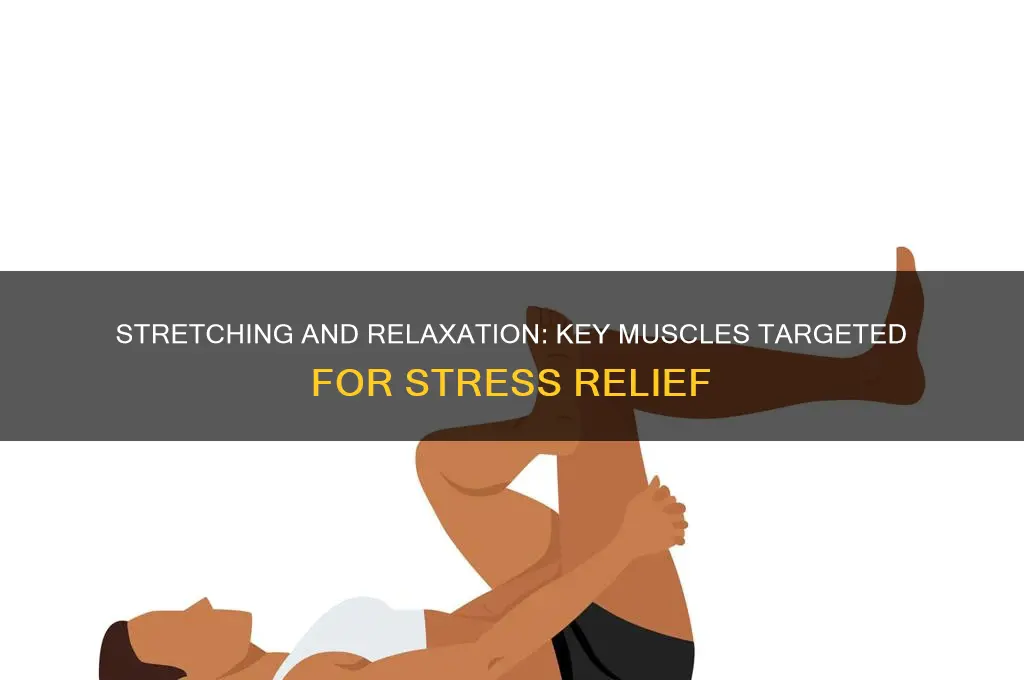 what muscles i stress with strching and relaxation practice