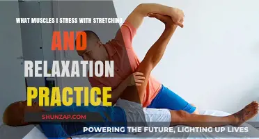 Stretching and Relaxation: Targeted Muscles for Stress Relief and Flexibility