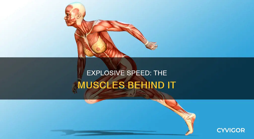 what muscles improve speed