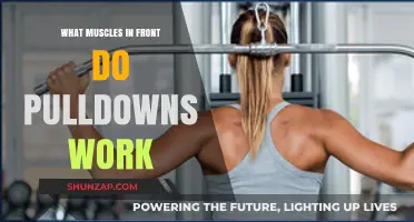 Front Muscles Targeted by Pulldowns: A Comprehensive Guide