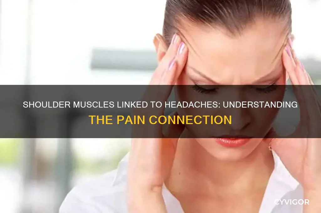 what muscles in shoulders can cause pain in the head