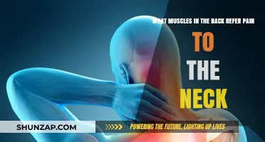 Back Muscles Causing Neck Pain: Understanding the Connection
