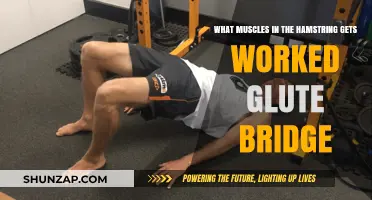 Glute Bridge: Targeting Hamstring Muscles for Strength and Stability