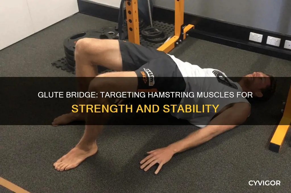 Glute Bridge: Targeting Hamstring Muscles For Strength And Stability ...