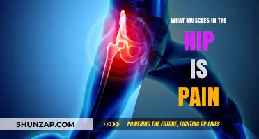 Hip Pain Explained: Identifying Muscles Causing Discomfort and Relief Tips