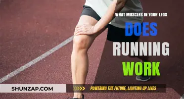 Running's Leg Muscles: Unlocking Strength and Endurance in Your Lower Body