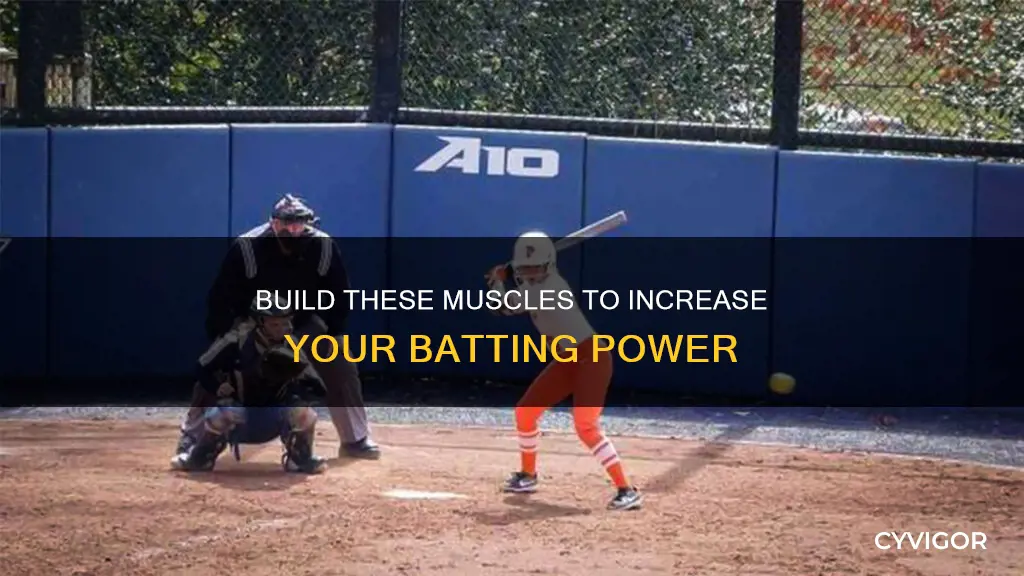 what muscles increase batting power