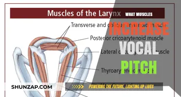 How to Strengthen Your Voice with Muscle Training