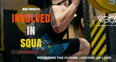 Squat Secrets: Which Muscles are Involved?