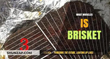 The Brisket Muscle Workout: What, Where, and How