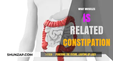 Constipation and Your Muscles: What's the Link?