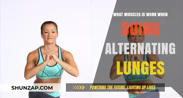 Alternating Lunges: Targeting Key Muscles for Strength and Stability