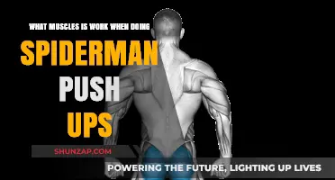 Spiderman Push-Ups: Targeted Muscles and Benefits Explained