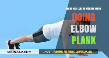 Elbow Plank Muscles: Core, Shoulders, Quads, and More Engaged
