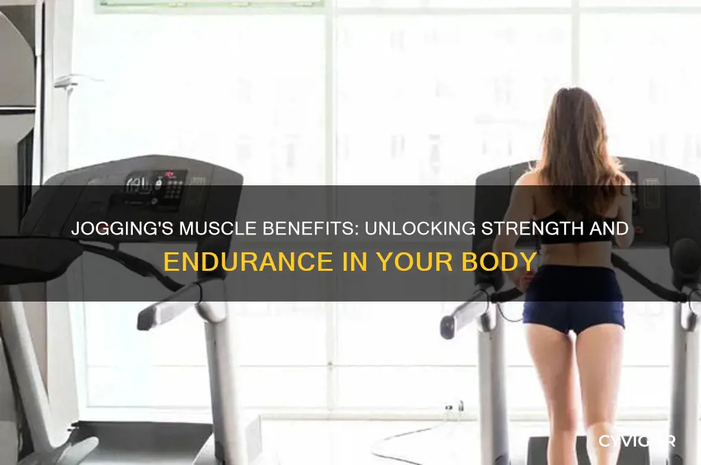 what muscles jogging work