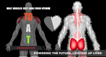 Muscles Restricting Full Arm Extension: Understanding the Limiting Factors