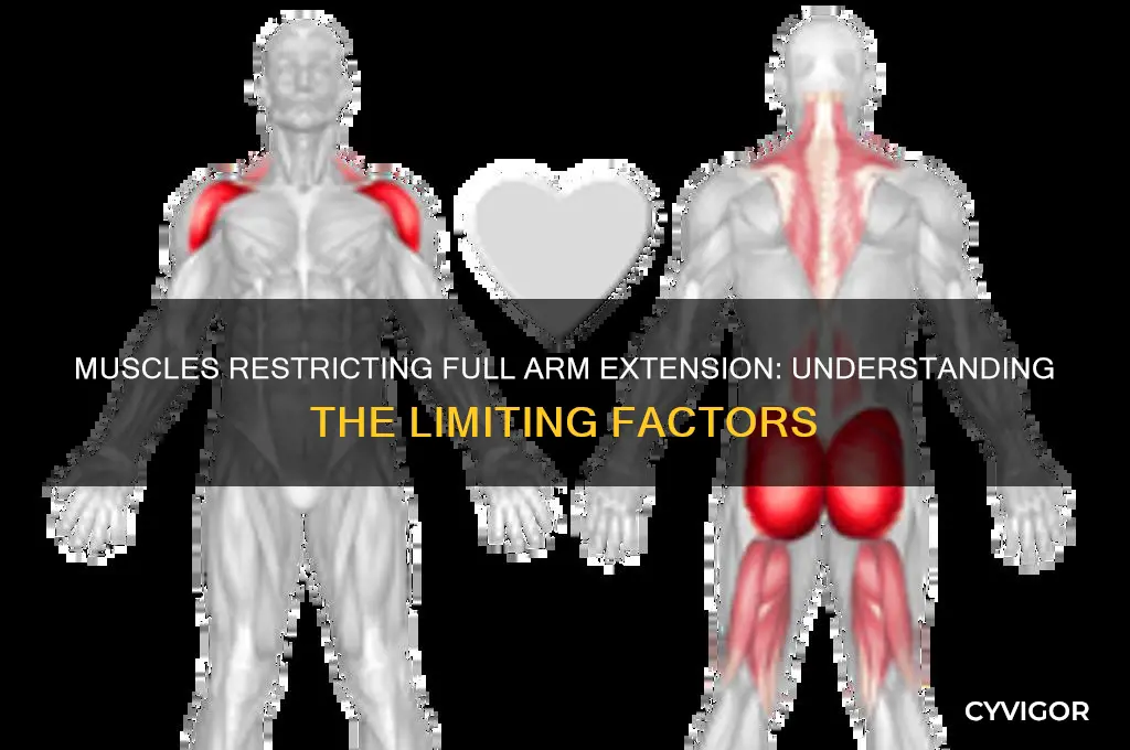 what muscles keep arms from openign to a t