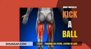 How to Kick a Ball: Muscles Involved