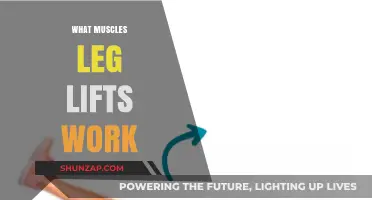 Leg Lifts: Targeted Muscles and Benefits for Stronger Lower Body