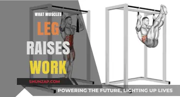 Leg Raises: Targeted Muscles and Benefits for Core Strength