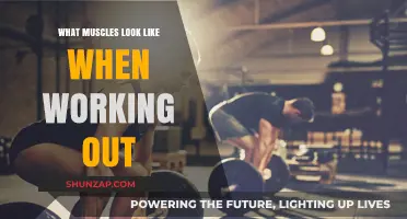 Sculpted Strength: Visualizing Muscle Engagement During Workouts