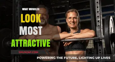Which Muscles Make the Most Attractive Physique?