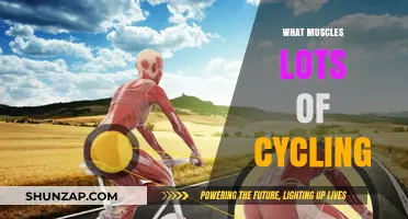 Cycling's Impact: Toning and Strengthening Leg Muscles