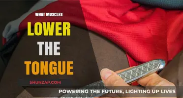 Tongue Muscles: The Power of Relaxation