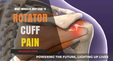 Muscles Linked to Rotator Cuff Pain: Causes and Prevention