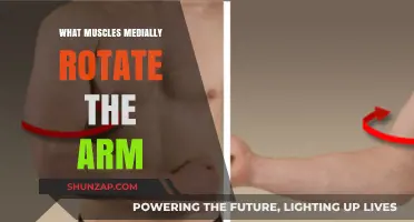 Medial Arm Rotation: Muscles and Mechanics Explained Simply
