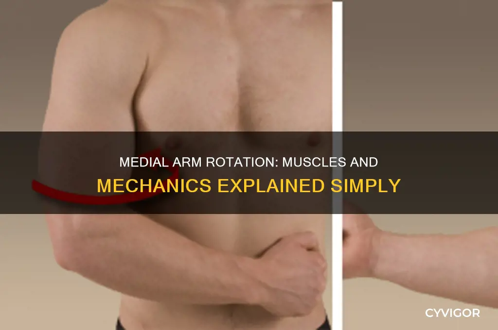what muscles medially rotate the arm