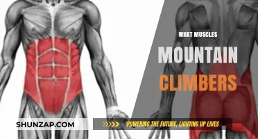 Mountain Climbers: A Full-Body Workout