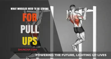 Build Strength in These Key Muscles to Master Pull-Ups