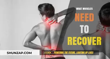 Muscle Recovery: Which Muscles Need Extra Attention?