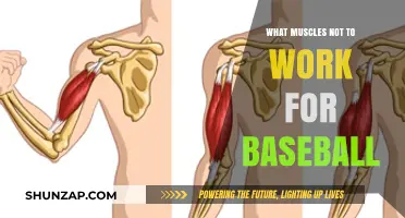 Avoiding Overuse: Muscles to Spare in Baseball Training