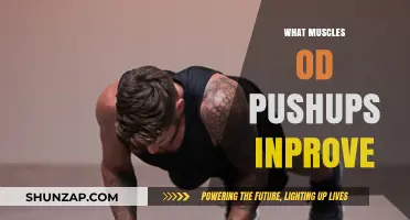 Pushups: Building a Stronger Upper Body