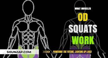 Squats: Unlocking the Power of Your Lower Body Muscles