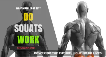 Squats: Targeting Glutes, Hamstrings, and Core for Stronger Buttocks