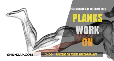 Plank Power: Targeting Core, Shoulders, Quads, and Glutes Effectively