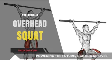 Overhead Squat: Which Muscles Are Working Hard?