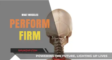 Firm Muscles: The Ultimate Guide to Building Strength