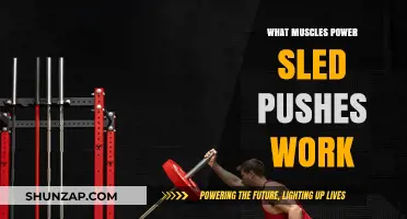 Power Sled Pushes: Targeted Muscles and Full-Body Benefits Explained